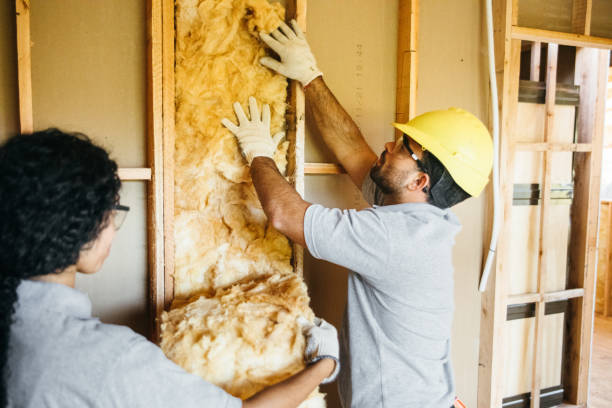 Best Wall Insulation Contractor  in Amityville, NY